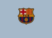 表现优异引发热议！，莎拉波娃在巴塞罗那比赛中出色防守热度持续攀升